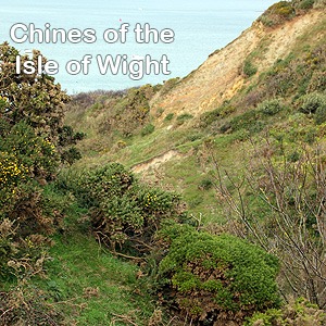 Click for Chines of the Isle of Wight